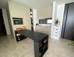 Skysuites@Anson (D2), Apartment #620932631